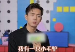 李现最新爆料贴吧叫什么,揭秘贴吧神秘面纱  第3张