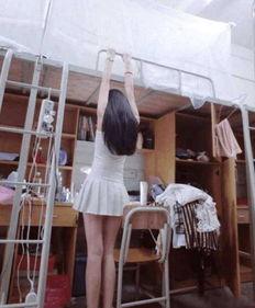 女生宿舍在线观看,揭秘青春岁月里的温馨时光